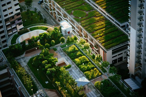 Quels sont les meilleurs designs de toitures vertes pour maximiser la biodiversité en milieu urbain ?