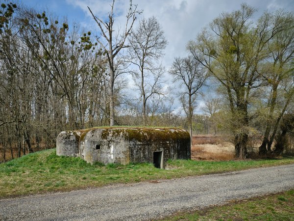 Survie en milieu urbain : construisez un bunker dans votre jardin